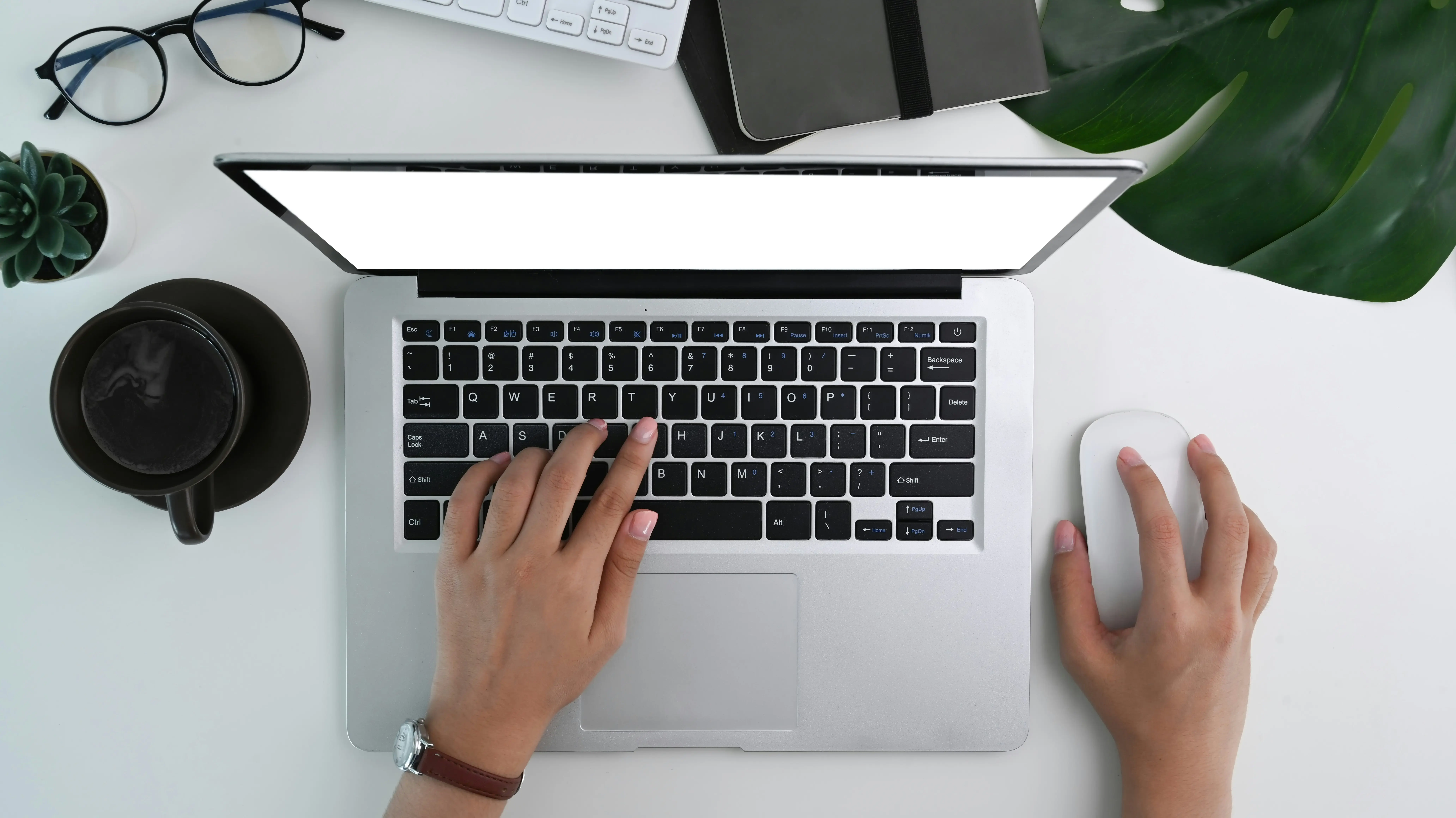 Domain transfer adım 3 - DorukNet transfer formu doldurma
