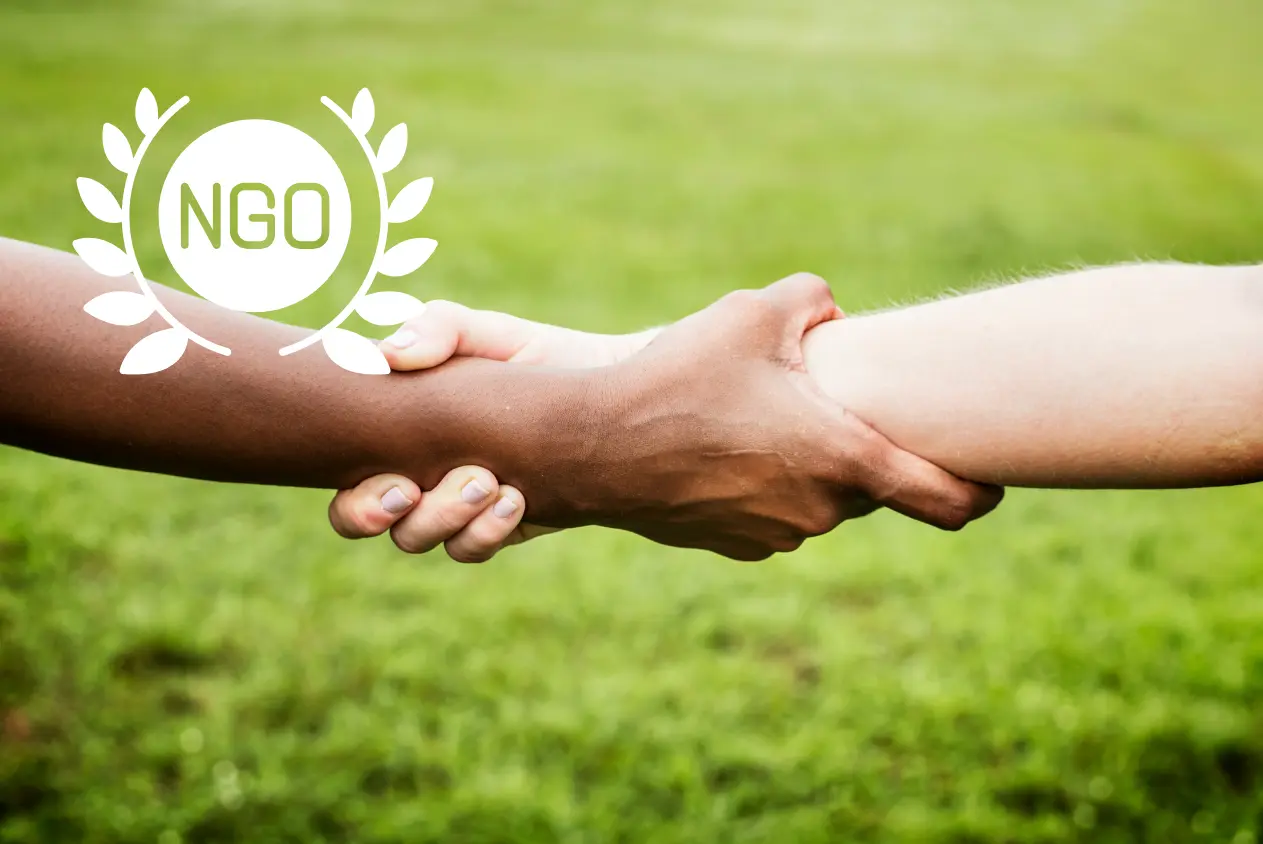 .ngo Domain: Uluslararası Tanınırlık ve Kurumsal Güven