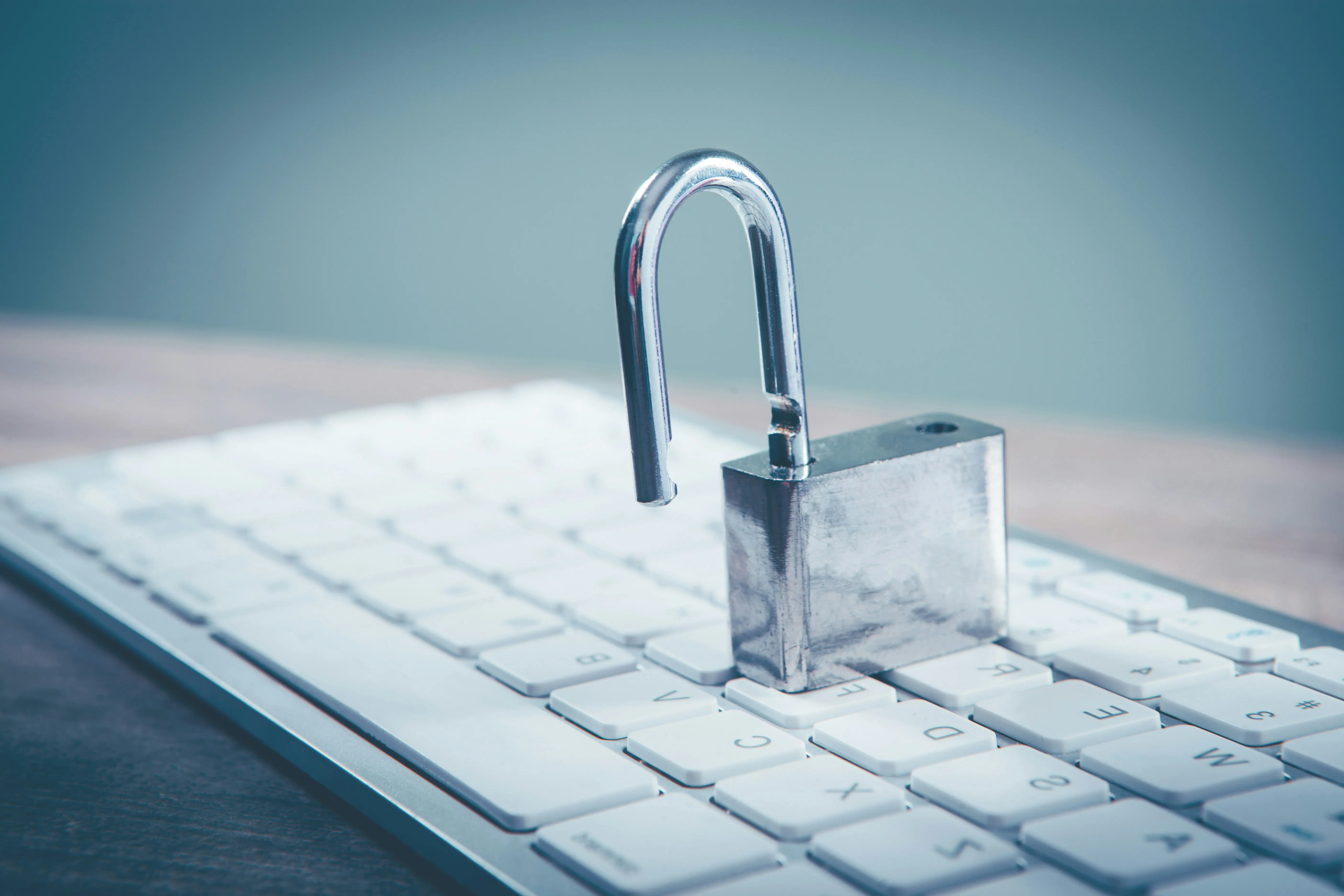 Alan Adı & Domain Sorgulama - .com, .net, .com.tr - SSL Sertifikası Nedir? Web Siteniz İçin Doğru SSL Seçimi